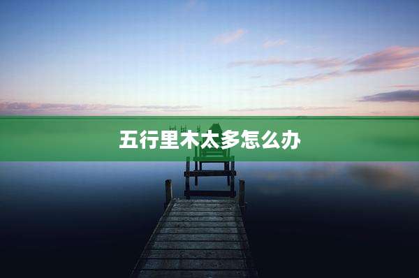 五行里木太多怎么办