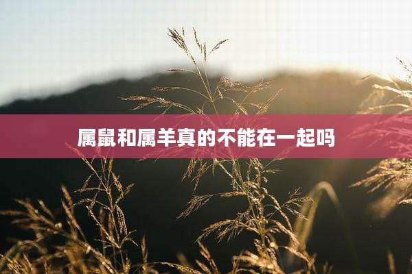 属鼠和属羊真的不能在一起吗