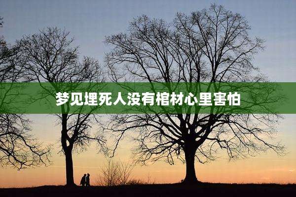 梦见埋死人没有棺材心里害怕