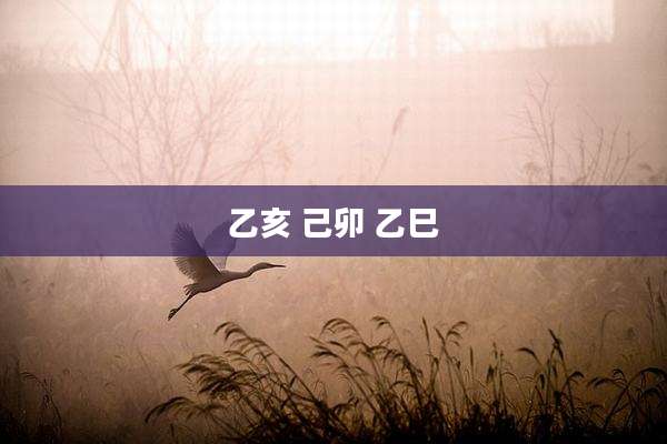 乙亥 己卯 乙巳