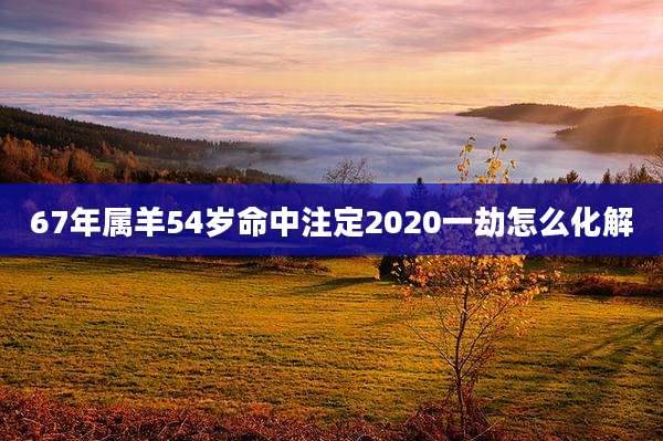 67年属羊54岁命中注定2020一劫怎么化解