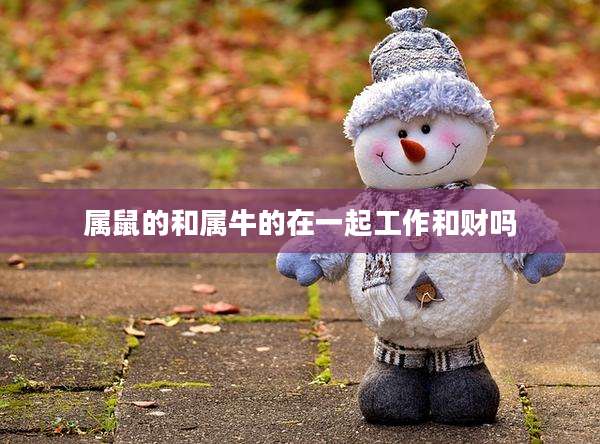 属鼠的和属牛的在一起工作和财吗