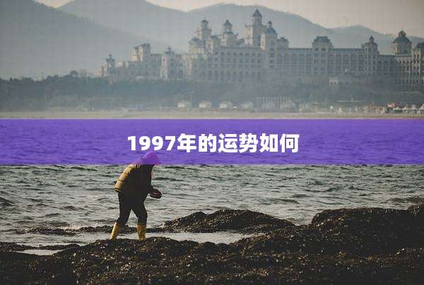 1997年的运势如何