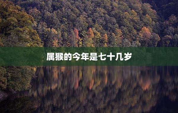 属猴的今年是七十几岁