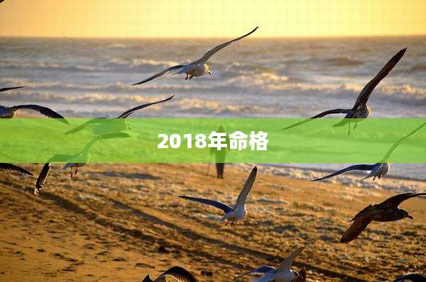 2018年命格