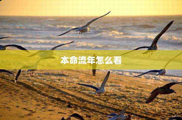 本命流年怎么看