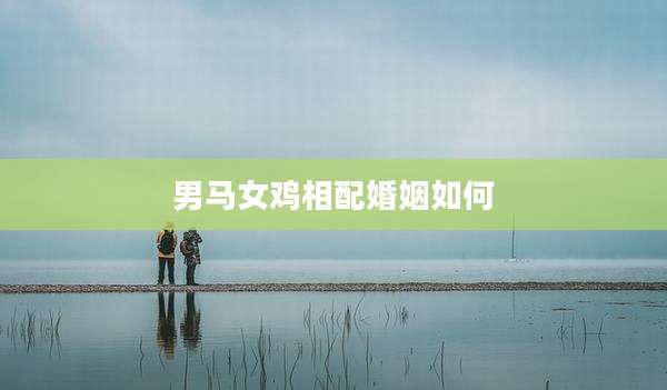 男马女鸡相配婚姻如何