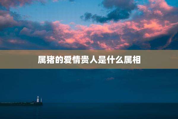 属猪的爱情贵人是什么属相