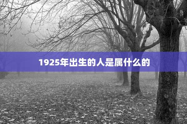 1925年出生的人是属什么的