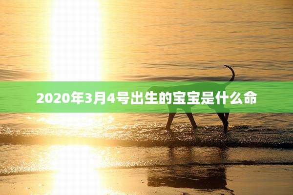 2020年3月4号出生的宝宝是什么命