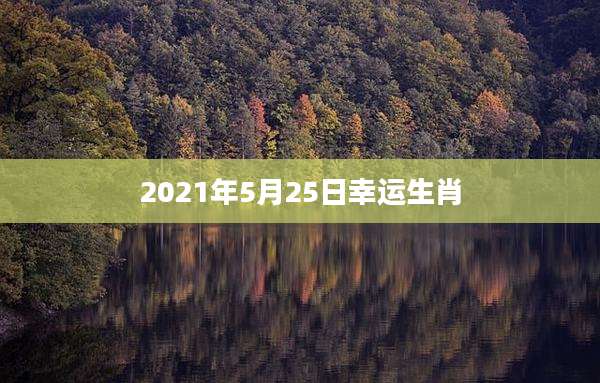 2021年5月25日幸运生肖