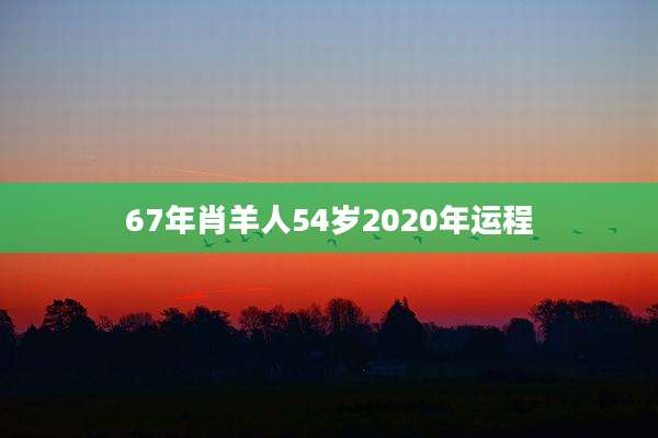 67年肖羊人54岁2020年运程