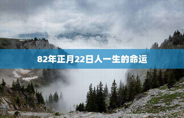 82年正月22日人一生的命运