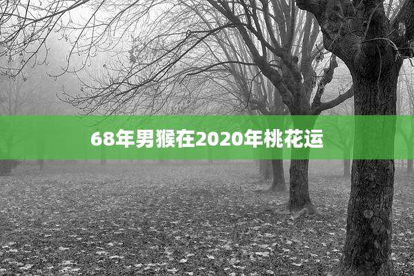 68年男猴在2020年桃花运