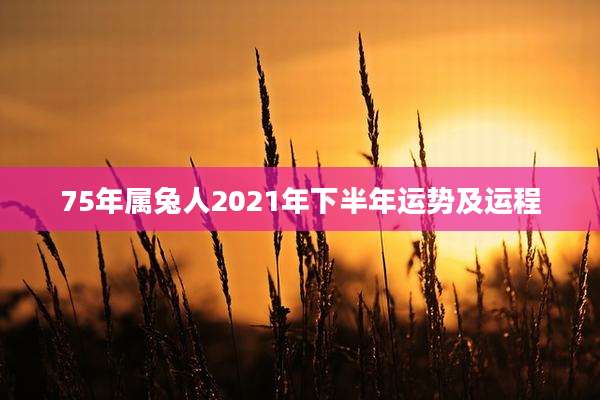 75年属兔人2021年下半年运势及运程