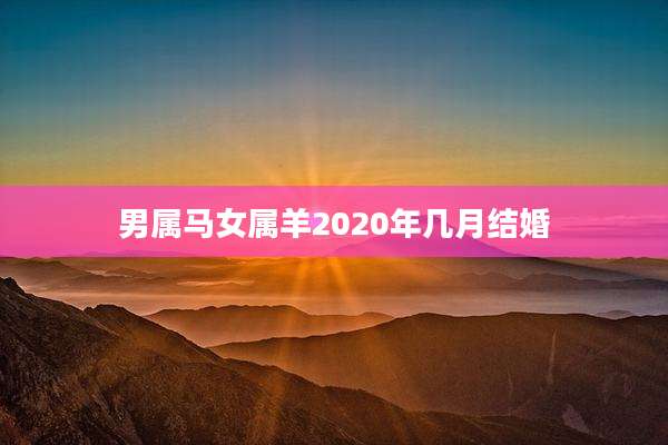 男属马女属羊2020年几月结婚