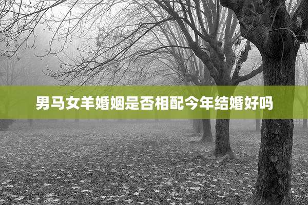 男马女羊婚姻是否相配今年结婚好吗
