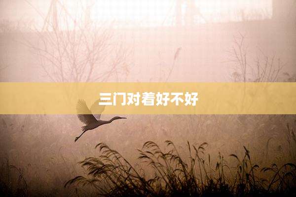 三门对着好不好