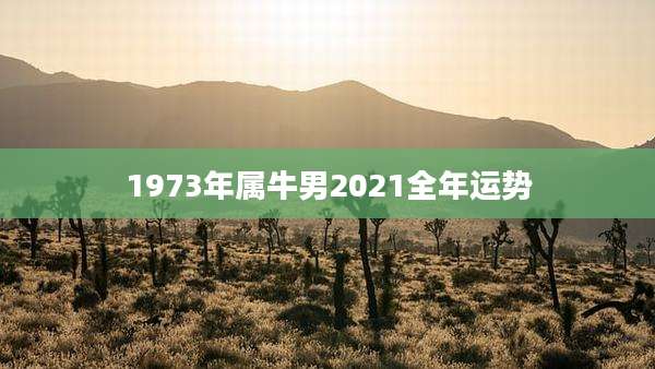 1973年属牛男2021全年运势