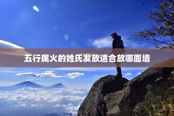五行属火的姓氏发放适合放哪面墙