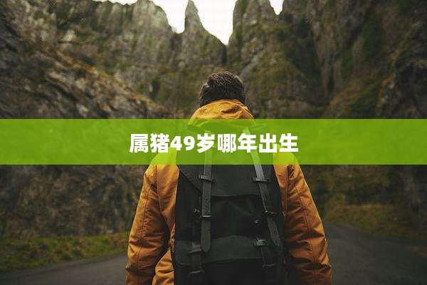 属猪49岁哪年出生