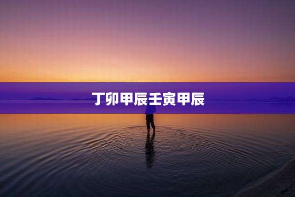 丁卯甲辰壬寅甲辰