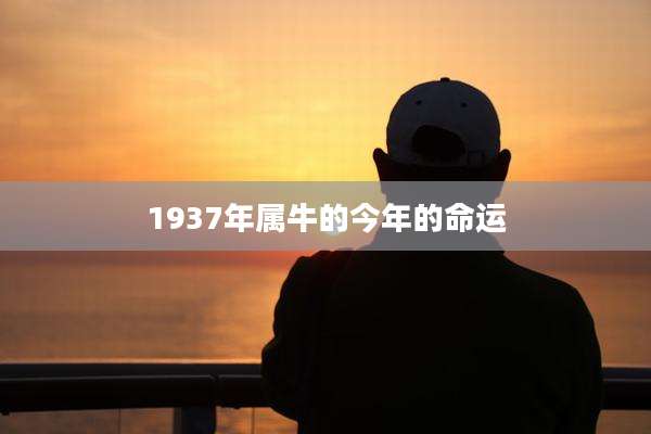 1937年属牛的今年的命运