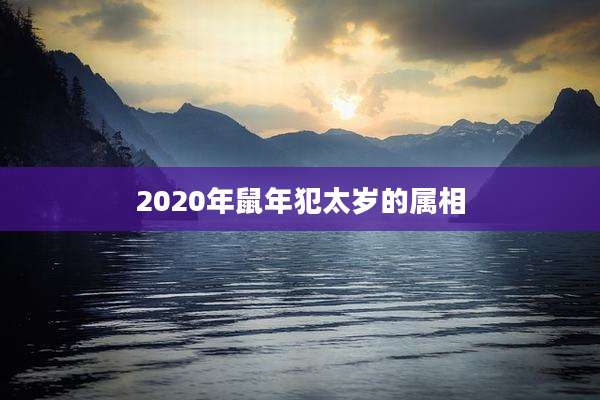 2020年鼠年犯太岁的属相