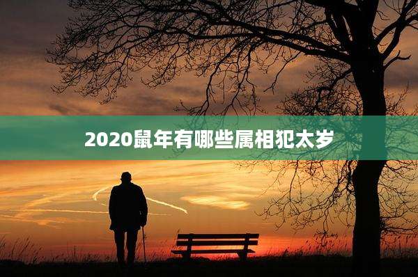 2020鼠年有哪些属相犯太岁