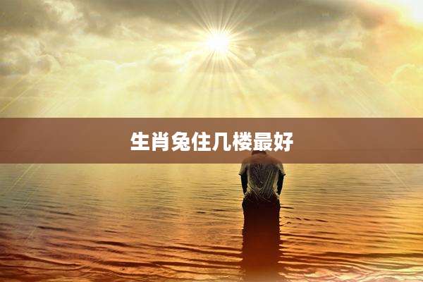 生肖兔住几楼最好