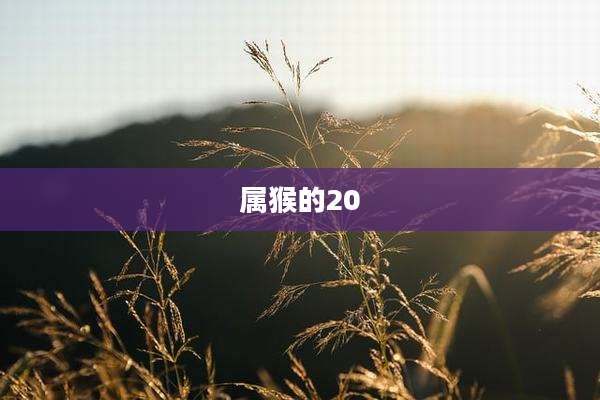 属猴的20