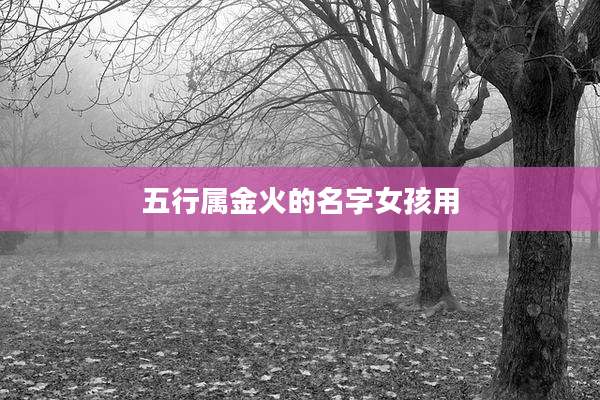 五行属金火的名字女孩用