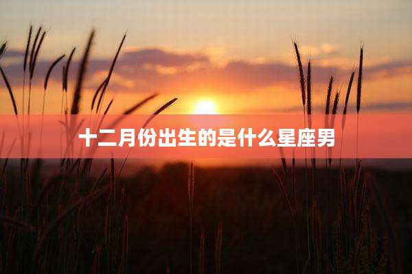 十二月份出生的是什么星座男