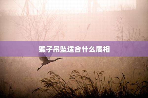 猴子吊坠适合什么属相