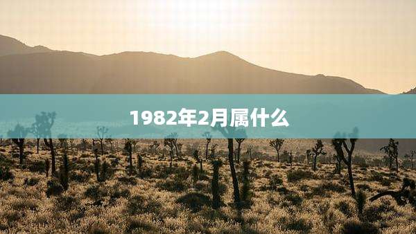 1982年2月属什么