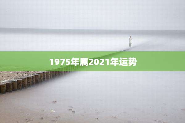 1975年属2021年运势