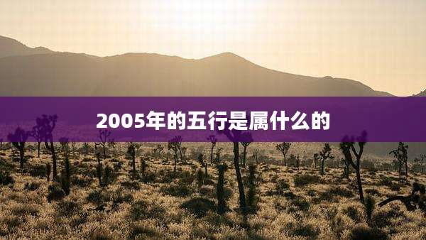 2005年的五行是属什么的