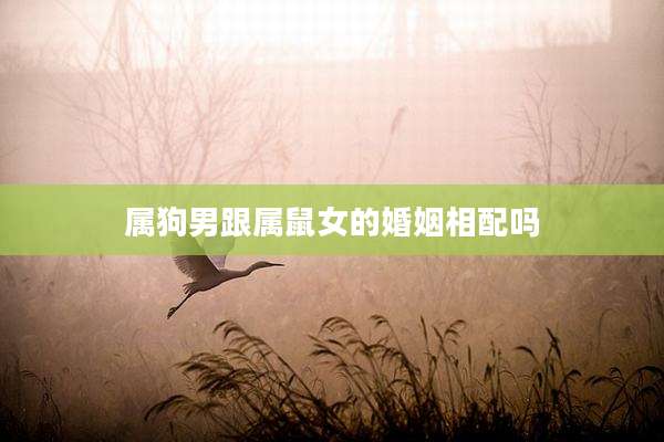 属狗男跟属鼠女的婚姻相配吗