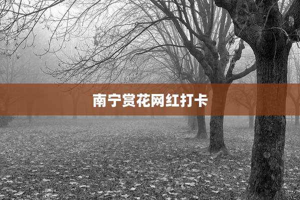 南宁赏花网红打卡