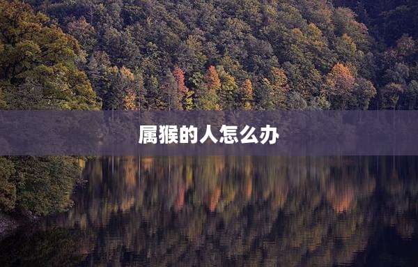 属猴的人怎么办