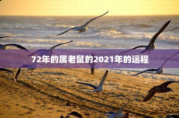 72年的属老鼠的2021年的运程