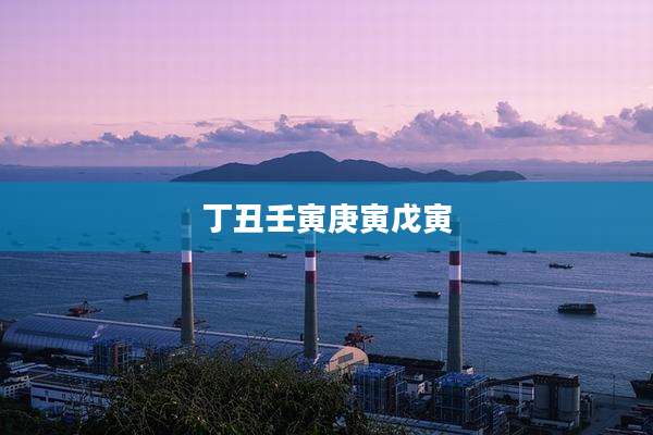 丁丑壬寅庚寅戊寅