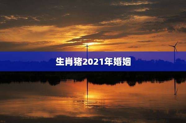 生肖猪2021年婚姻