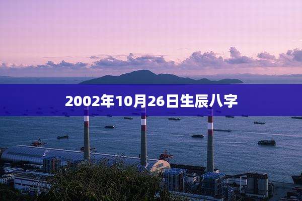 2002年10月26日生辰八字