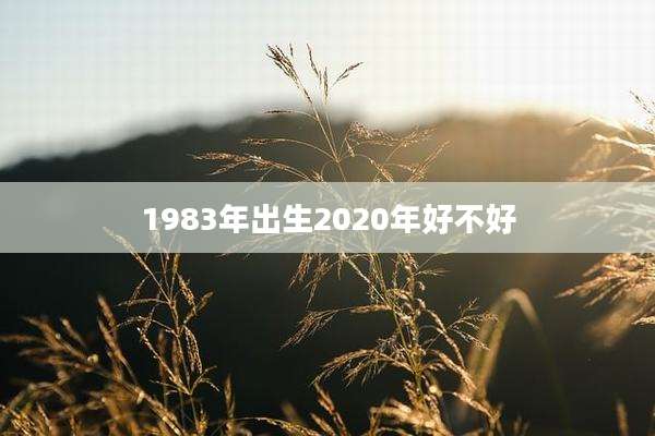 1983年出生2020年好不好