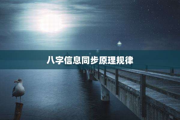 八字信息同步原理规律