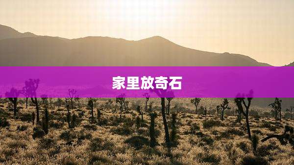 家里放奇石