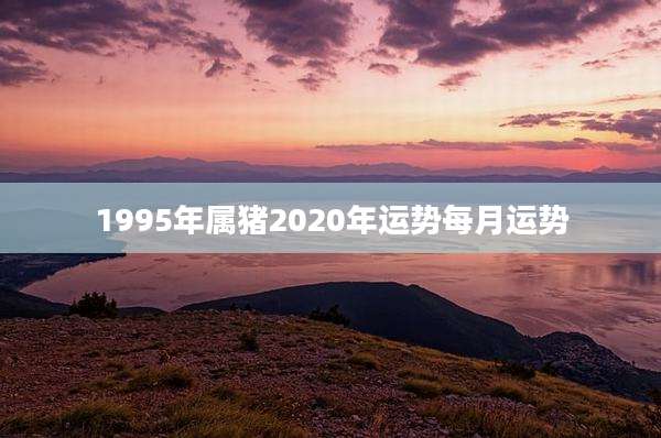 1995年属猪2020年运势每月运势