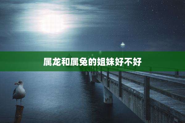 属龙和属兔的姐妹好不好