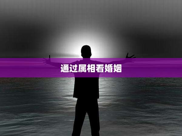 通过属相看婚姻